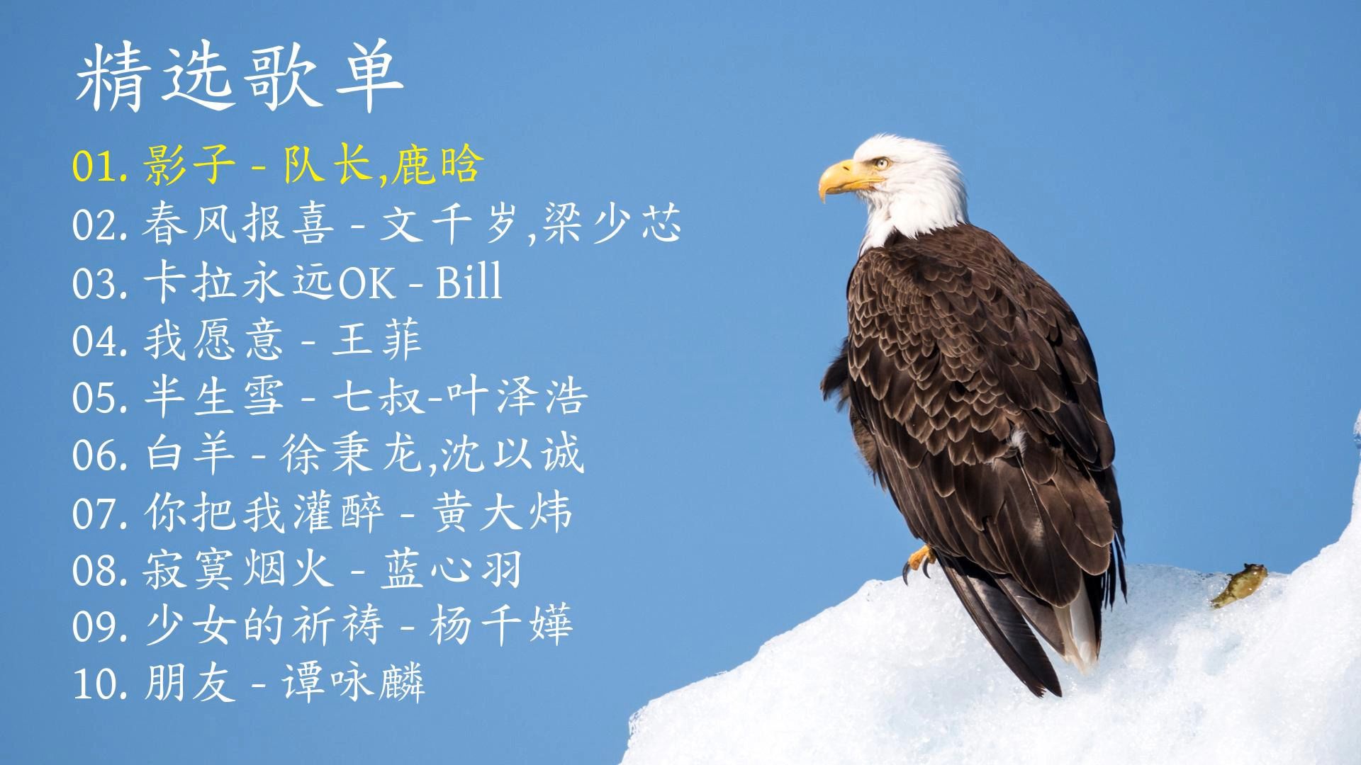 精选歌曲《影子》《春风报喜》《卡拉永远OK》《我愿意》《半生雪》《白羊》《你把我灌醉》《寂寞烟火》《少女的祈祷》《朋友》-1.jpg