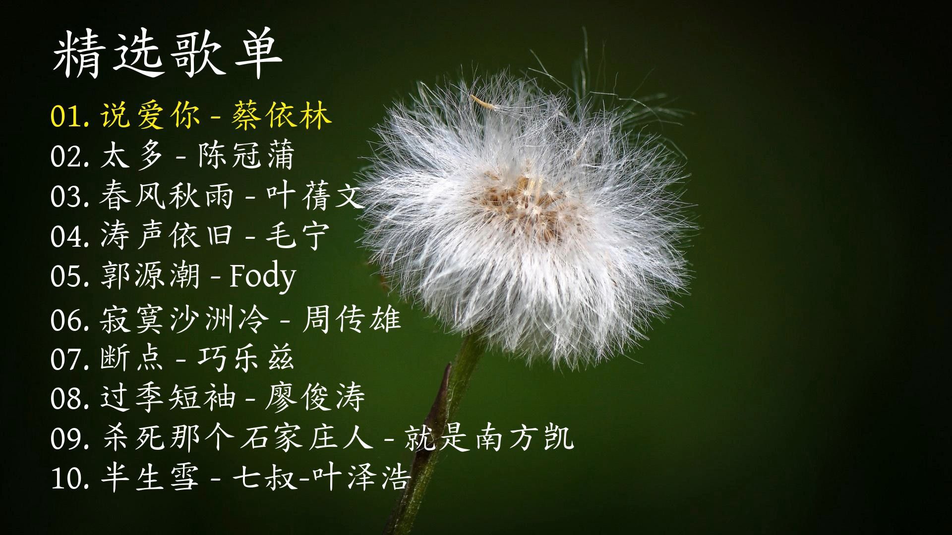 精选歌曲《说爱你》《太多》《春风秋雨》《涛声依旧》《郭源潮》《寂寞沙洲冷》《断点》《过季短袖》《杀死那个石家庄人》《半生雪》-1.jpg