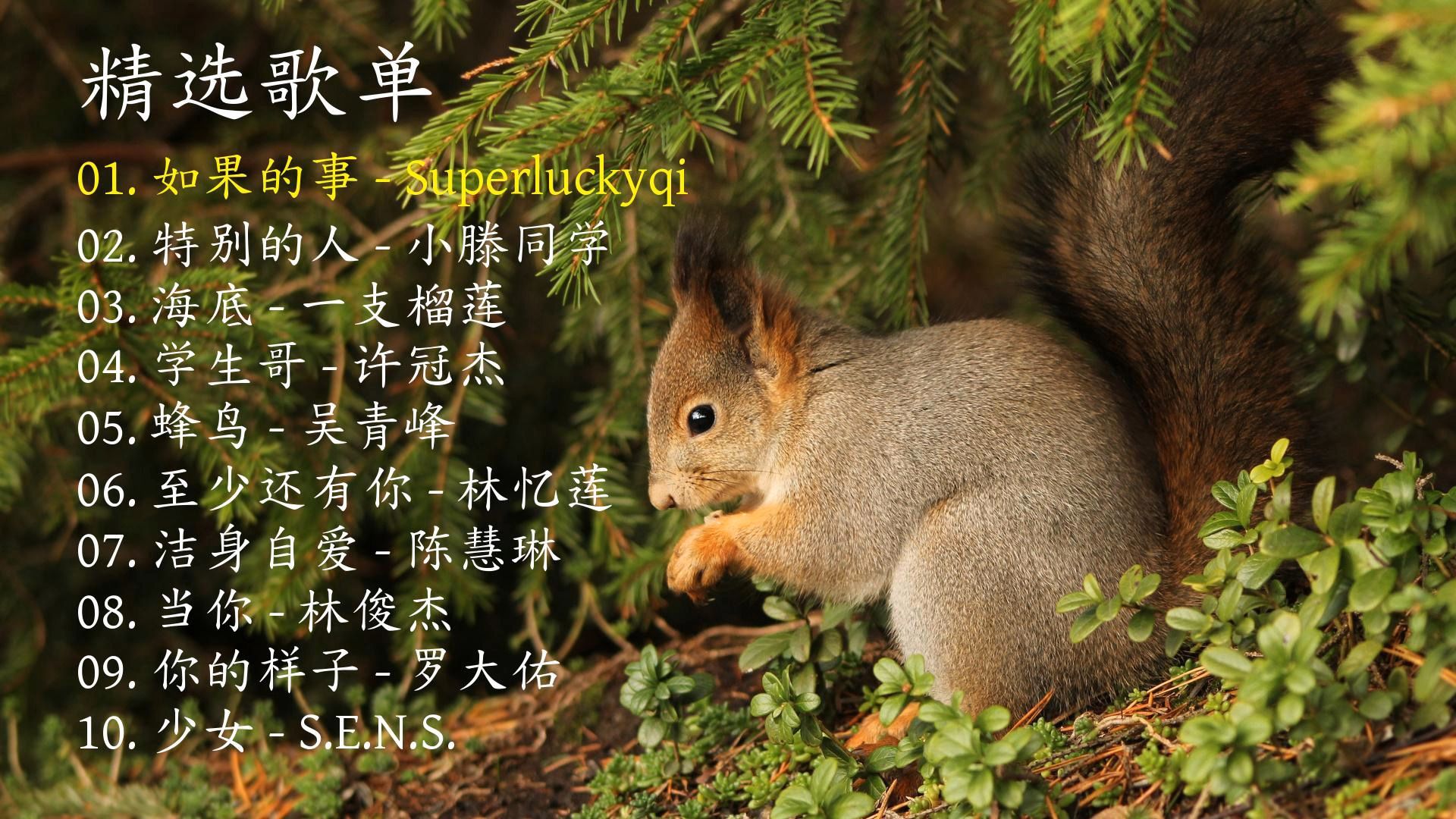 精选歌曲《如果的事》《特别的人》《海底》《学生哥》《蜂鸟》《至少还有你》《洁身自爱》《当你》《你的样子》《少女》-1.jpg