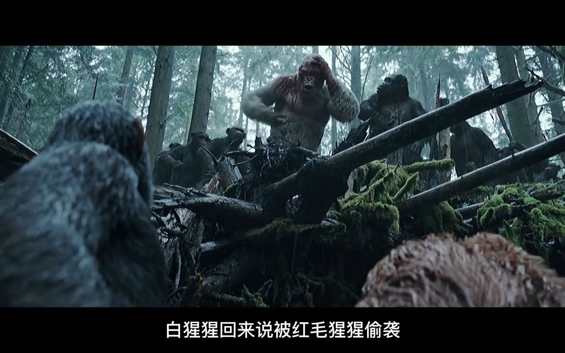猿流感爆发，猩猩灭绝人类，猿族复仇，猿族崛起-1.jpg
