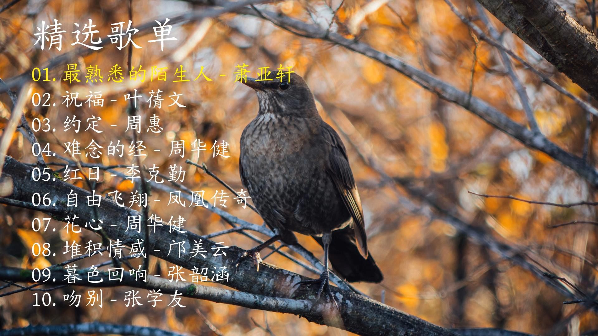 精选歌曲《最熟悉的陌生人》《祝福》《约定》《难念的经》《红日》《自由飞翔》《花心》《堆积情感》《暮色回响》《吻别》-1.jpg