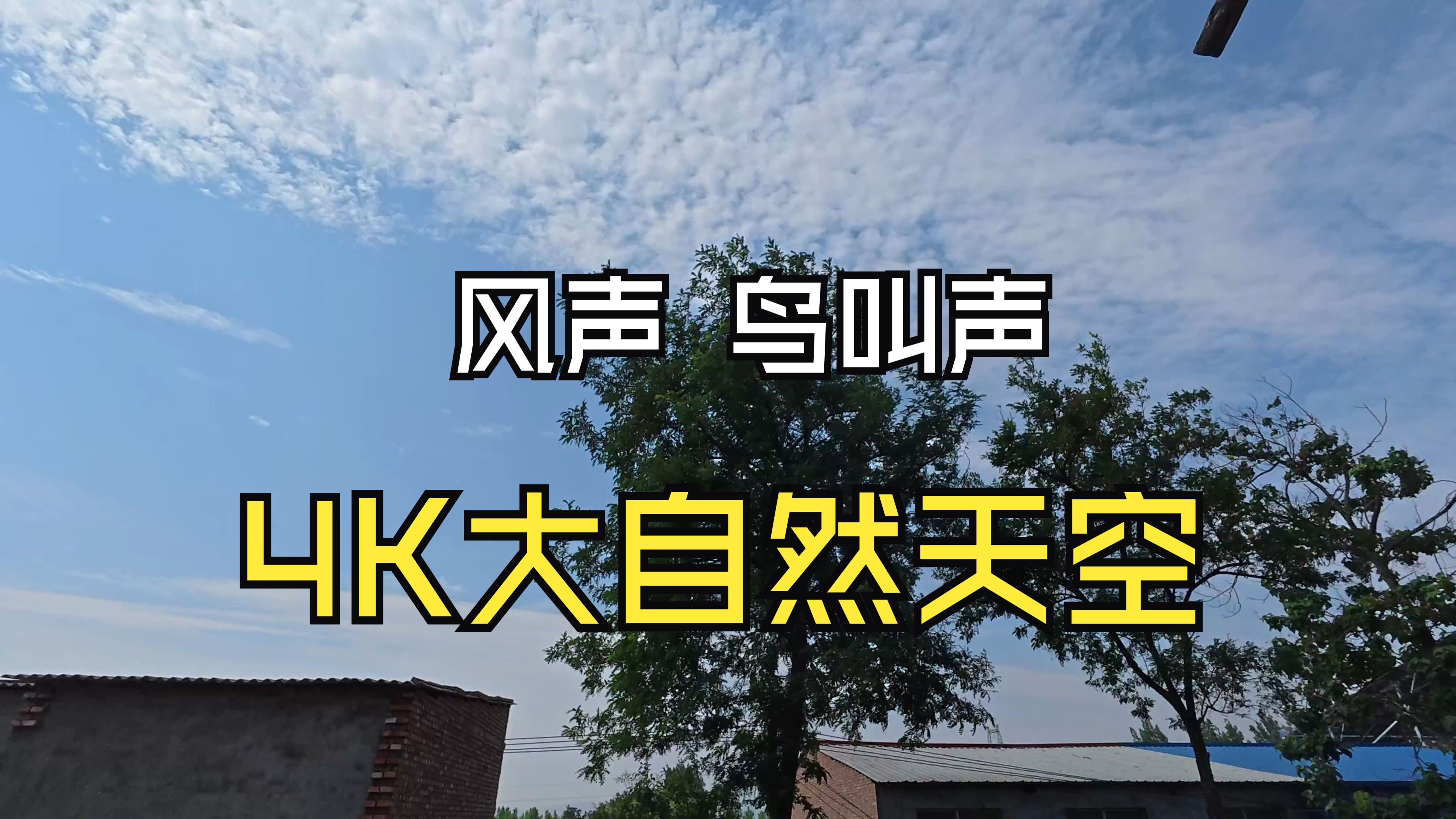4K拍摄白云蓝天、大自然声音 鸟叫、风声、助眠工作、学习、睡眠-1.jpg