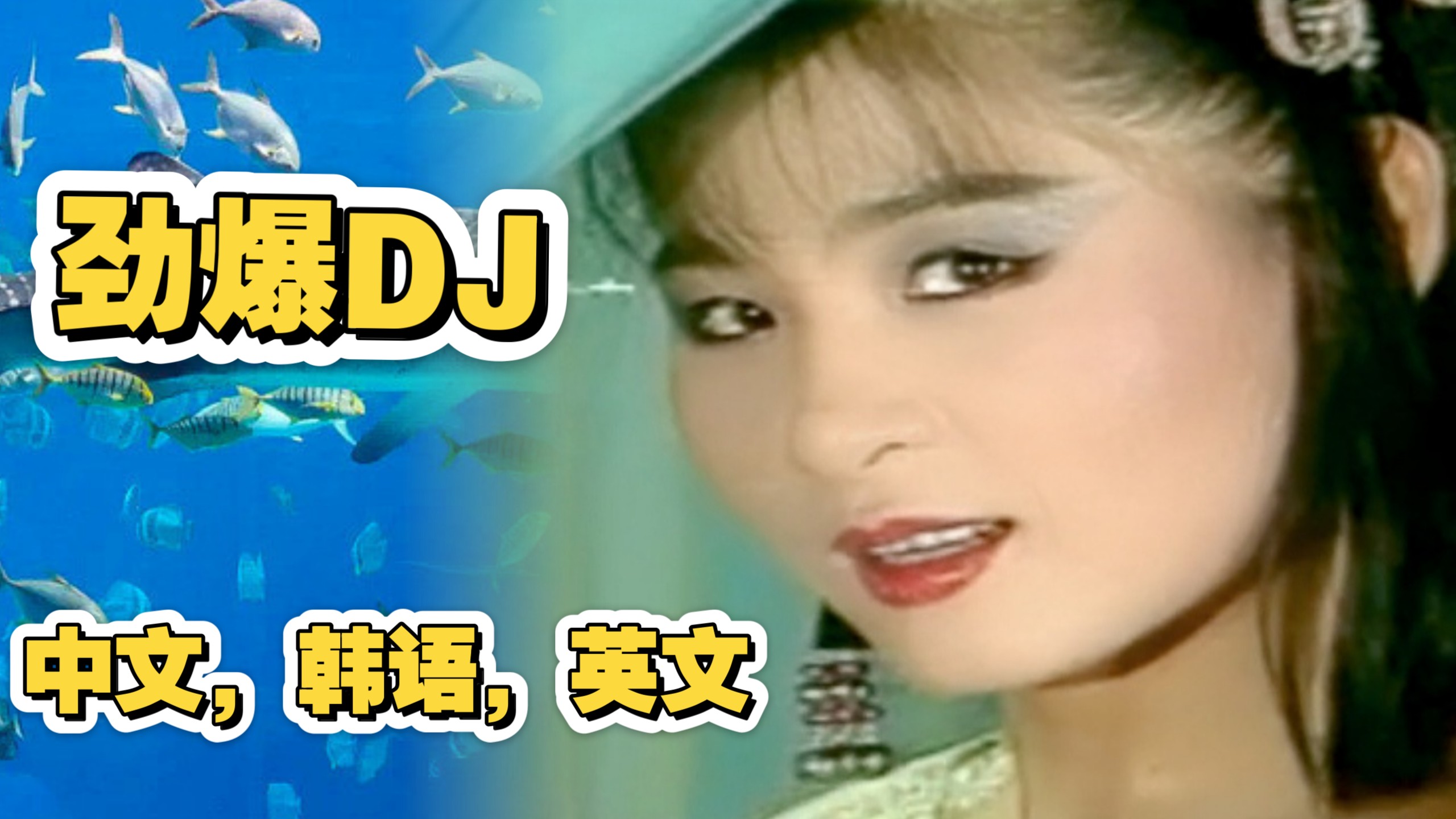 开车必备，顶级劲爆DJ：中文，韩语，英文，总有你喜欢的。-1.jpg
